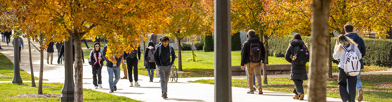 students walking on campus on a fall day